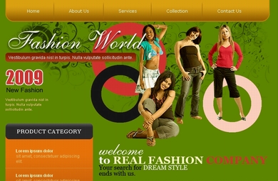 A Fashion Web Site Template Designed By PakEagle.Com