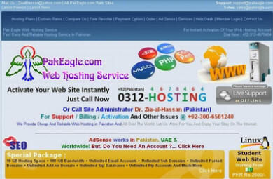 A Pak Eagle Enterprises Web Hosting Service