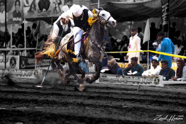 Warriors of the Dust – Tent Pegging in Motion