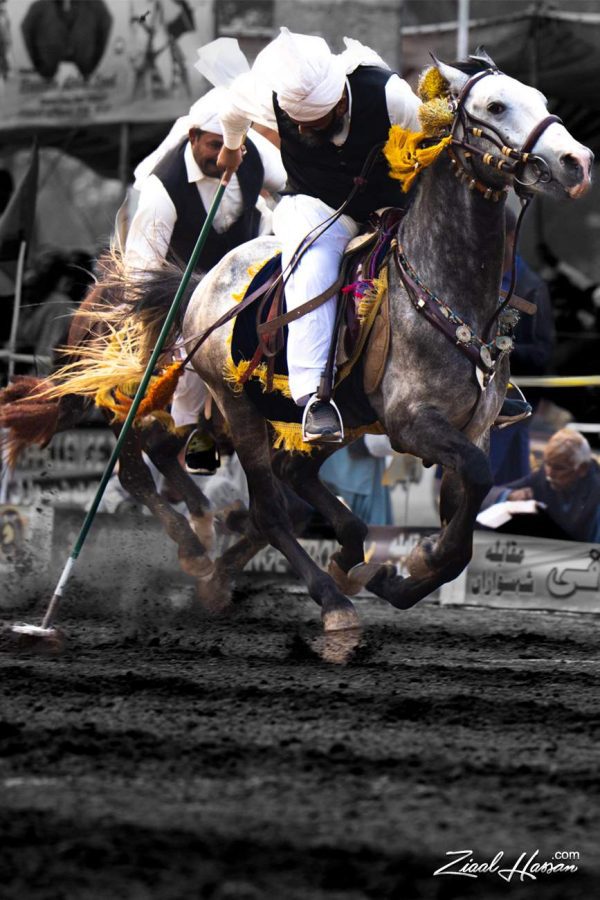 Warriors of the Dust – Tent Pegging in Motion