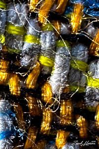Tangled Gold - Dr. Zia-al-Hassan Photography